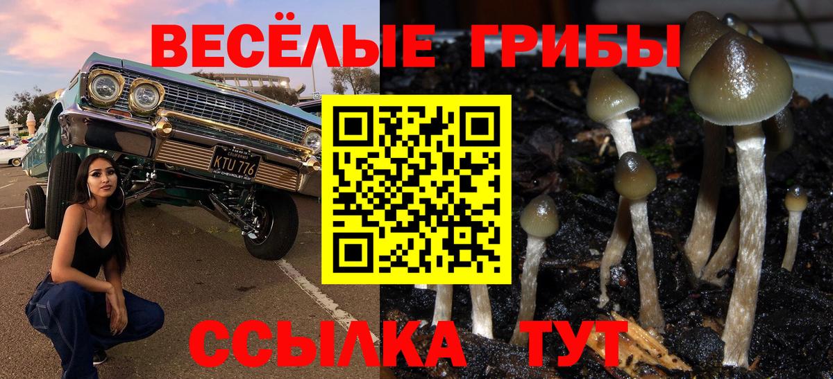 Верхняя Пышма  Псилоцибиновые грибы Psilocybe  Вход с VPN 